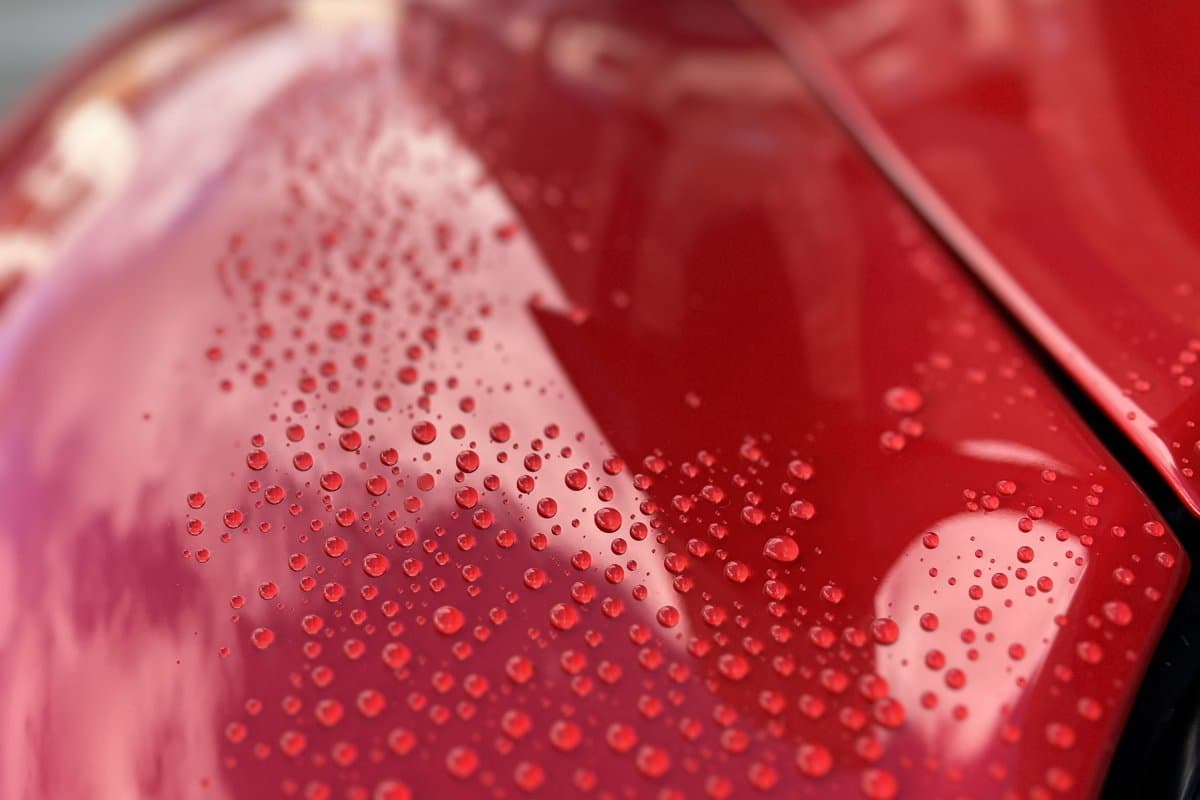 Water beading on freshly washed red paint